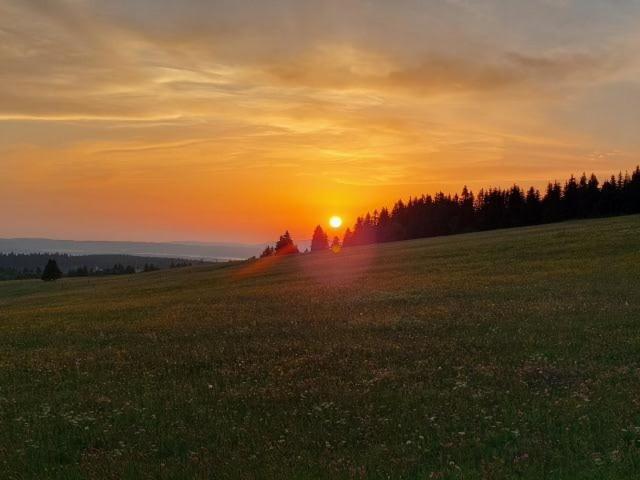 Landgasthof Neitsch Schwarzenberg  Bagian luar foto