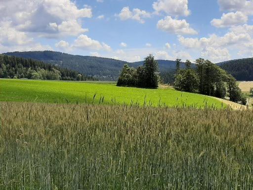 Landgasthof Neitsch Schwarzenberg  Bagian luar foto